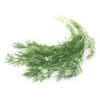 Dill Dill