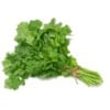 Cilantro Cilantro