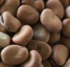 Fava Beans Fava Beans