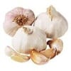 Garlic Garlic