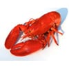 Fresh Lobster (Catering)