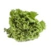 Leaf Lettuce Leaf Lettuce