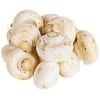 Mushroom Mushroom