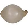 Onion (Pearl) Onion (Pearl)