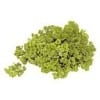 Parsley (Curly) Parsley (Curly)
