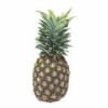 Pineapple Pineapple