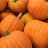 Pumpkin Pumpkin