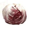 Radicchio Radicchio