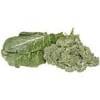 Salad Greens Salad Greens