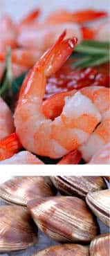 seafood3