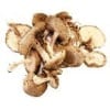 Shiitake Mushroom Shiitake Mushroom