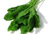 Sorrel Sorrel