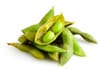 Soybean Soybean