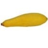 Squash (Yellow) Squash (Yellow)