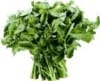 Watercress Watercress